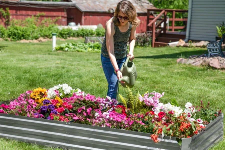 A woman waters a raised metal garden bed overflowing with pink. white. orange. and red flowers on a sunny lawn.