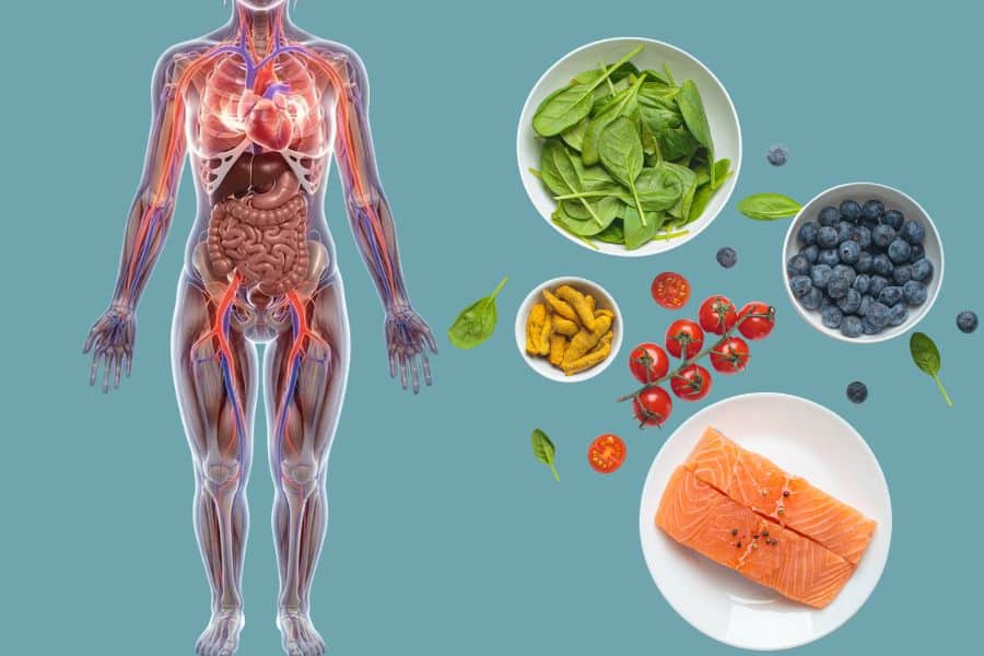 Illustration of the human body alongside foods associated with anti inflammation including salmon, spinach, blueberries, turmeric, and tomatoes. The graphic highlights the connection between nutrition and supporting healthy inflammatory responses throughout the body.