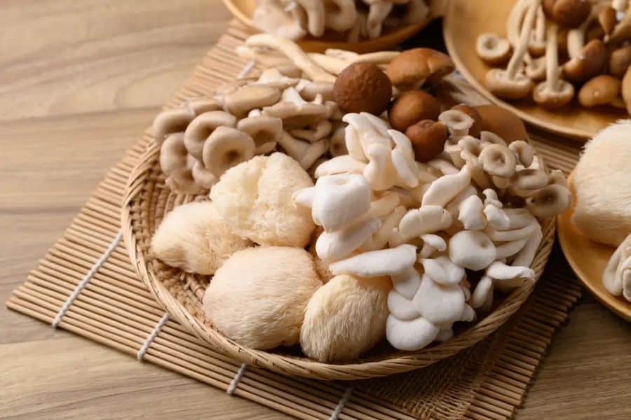 A woven basket holds an assortment of fresh mushrooms including white oyster mushrooms brown caps and fluffy lions mane mushrooms. More mushrooms are arranged on wooden plates in the background.