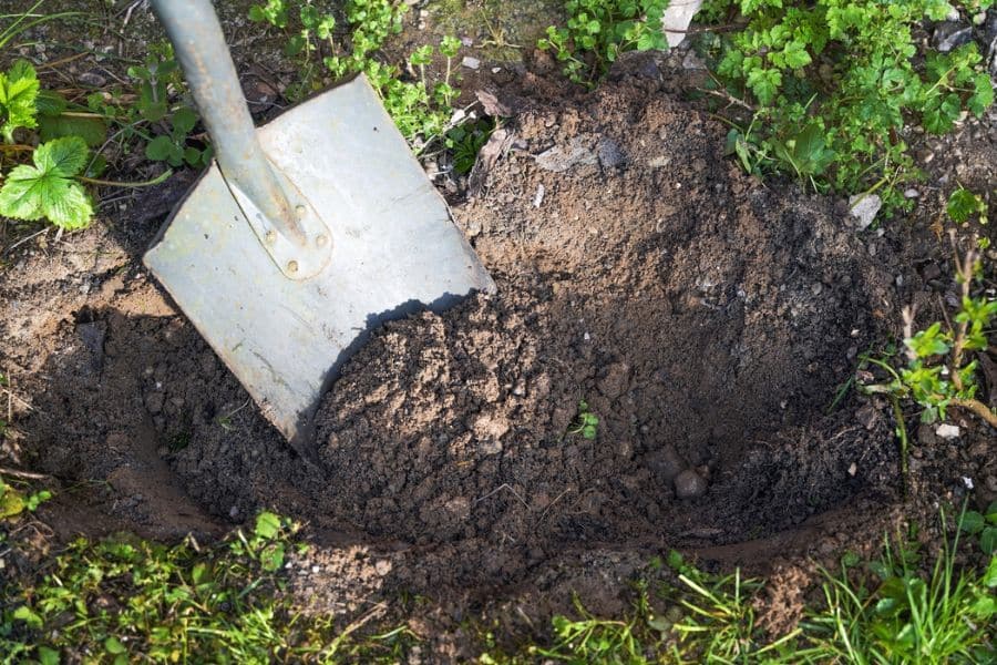 Shovel digging a hole in loose soil during garden preparation. Freshly turned earth is ready for planting new flowers, shrubs, or vegetables.