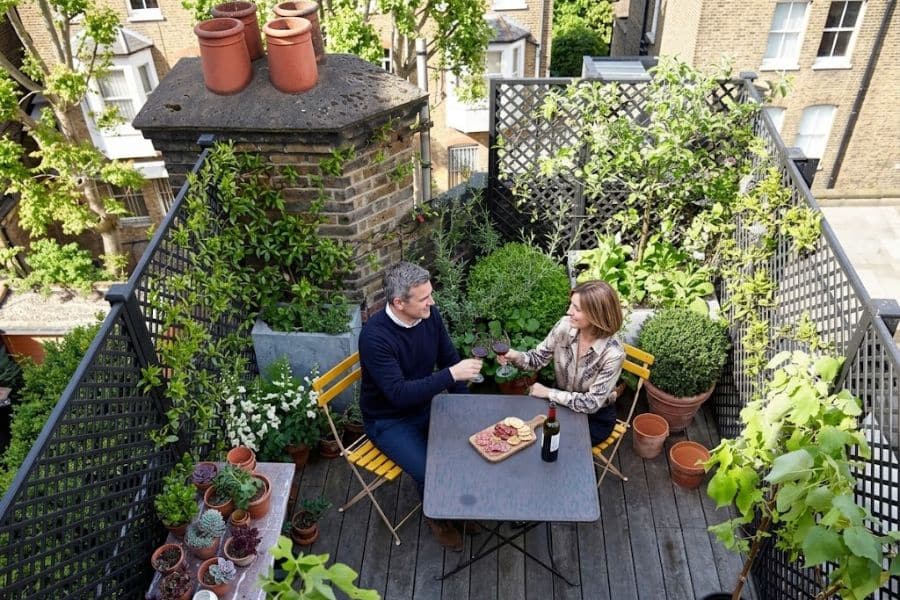 Two people sit at a table on a rooftop terrace surrounded by potted plants and climbing greenery. They raise glasses beside snacks and a bottle of wine in a cozy mini garden space.