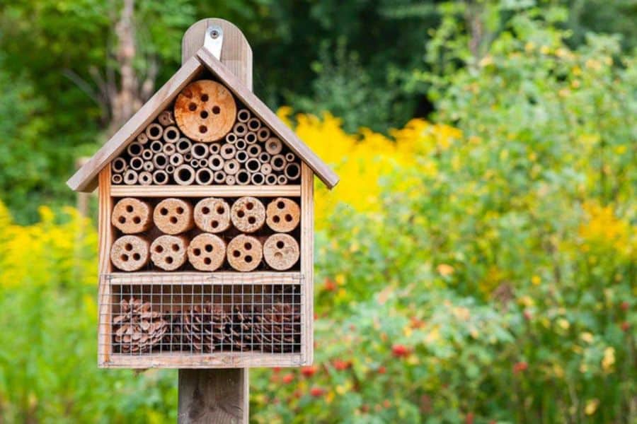 A wooden insect hotel filled with hollow stems drilled logs and pinecones stands among yellow flowers and dense greenery. The structure provides nesting spaces and shelter for beneficial insects in the garden.
