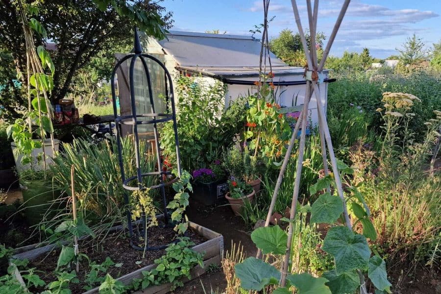 The Vegetables My Grandad Grew On His Allotment Which Are Worth Planting as a Time Poor Gardener (And Those That Aren’t Worth the Hassle)