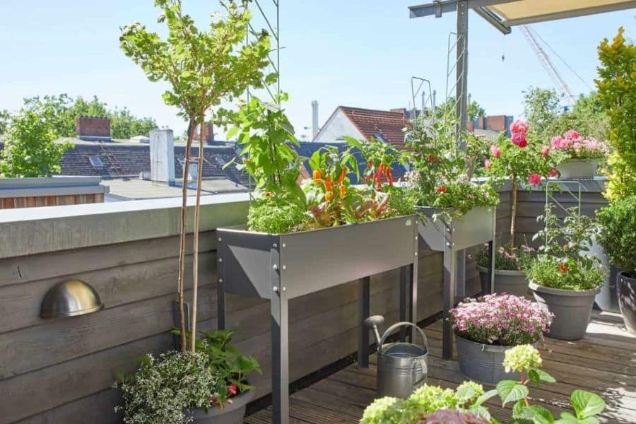 Raised metal planters and pots fill a bright rooftop deck with herbs and flowers and small vegetable plants. A watering can rests on the wooden floor beside the mini gardens.