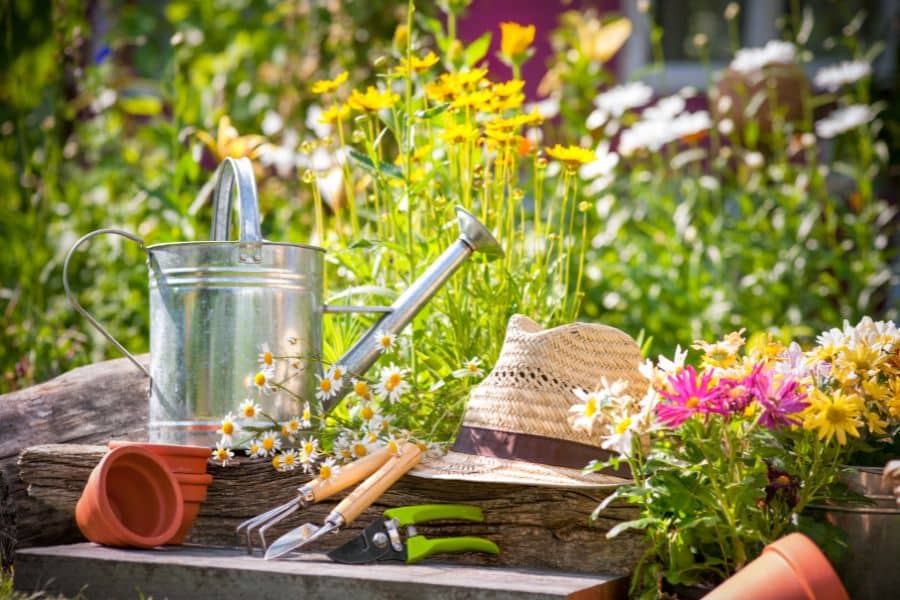A metal watering can and gardening tools rest beside colorful flowers and terracotta pots. A straw hat lies among the supplies in a bright summer garden.