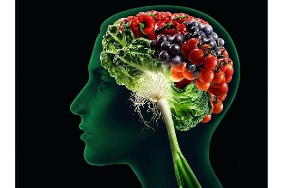 Green side profile of a human head with the brain area filled with leafy greens, peppers, grapes, berries, and tomatoes to symbolize the connection between nutrition and brain health.