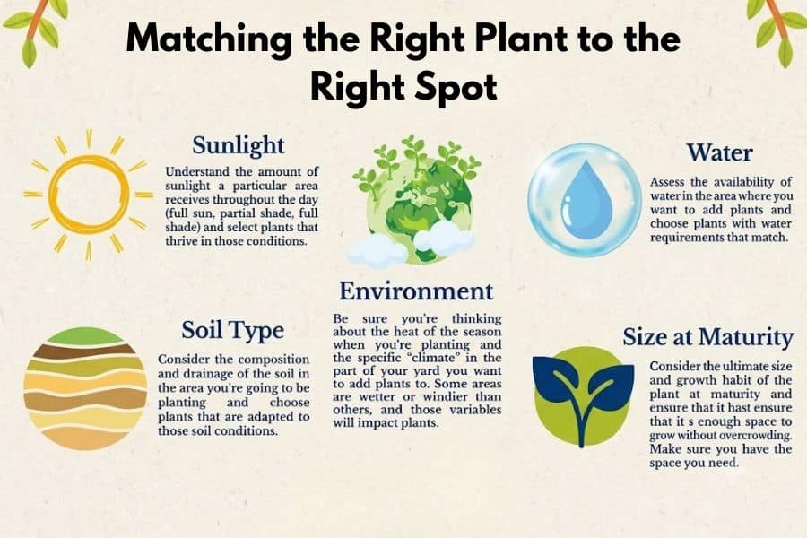 Illustrated gardening infographic titled "Matching the Right Plant to the Right Spot." It includes sections labeled "Sunlight" "Water" "Soil Type" "Environment" and "Size at Maturity" with guidance about choosing plants based on sun exposure water availability soil drainage climate heat season and mature plant size.