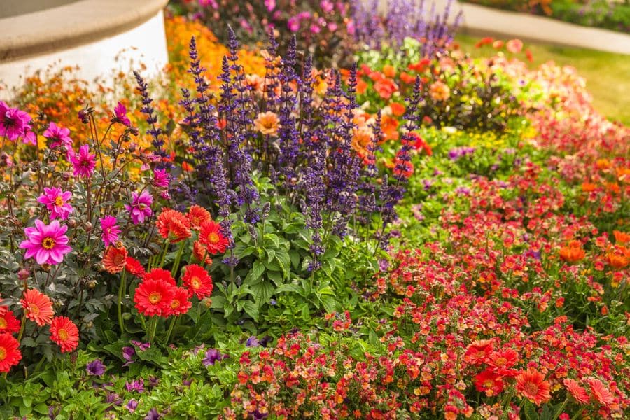 Matching the Right Plant to the Right Spot (What Sun and Shade Actually Mean in Practice)