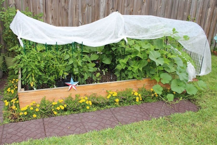 A raised vegetable bed filled with tall green plants is covered by lightweight white garden fabric. Yellow flowers line the front of the bed while vines spread along one side.