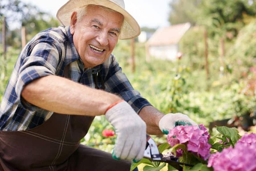 9 Ways to Turn a Retirement Hobby Into a Cash Injection Using the Skills You Already Have (Earn $500+ Per Week Part Time)