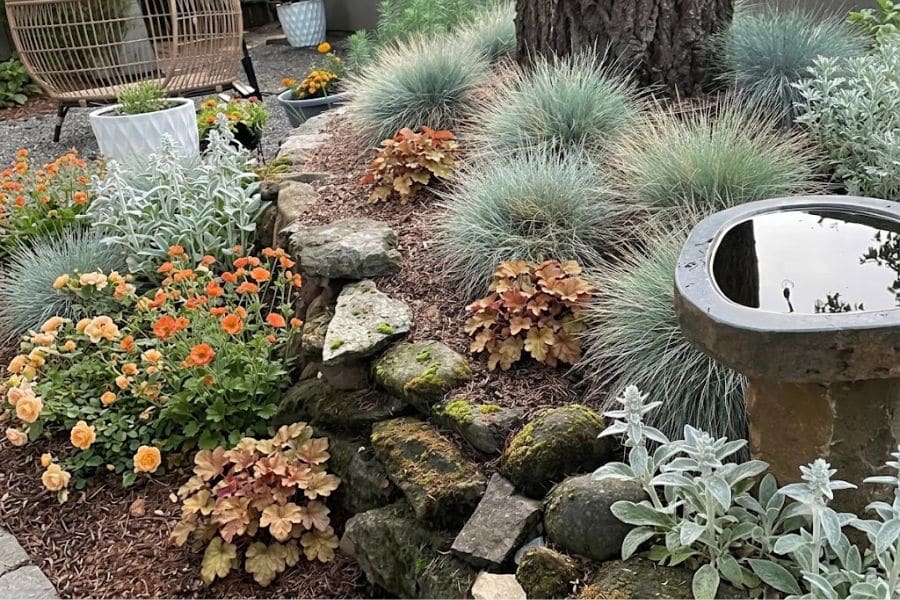 Mixed garden border featuring blue and silver ornamental grasses, orange flowering perennials, heucheras, lamb's ear, natural stone edging, and a birdbath. The layered planting creates texture and year round interest in a landscaped garden.