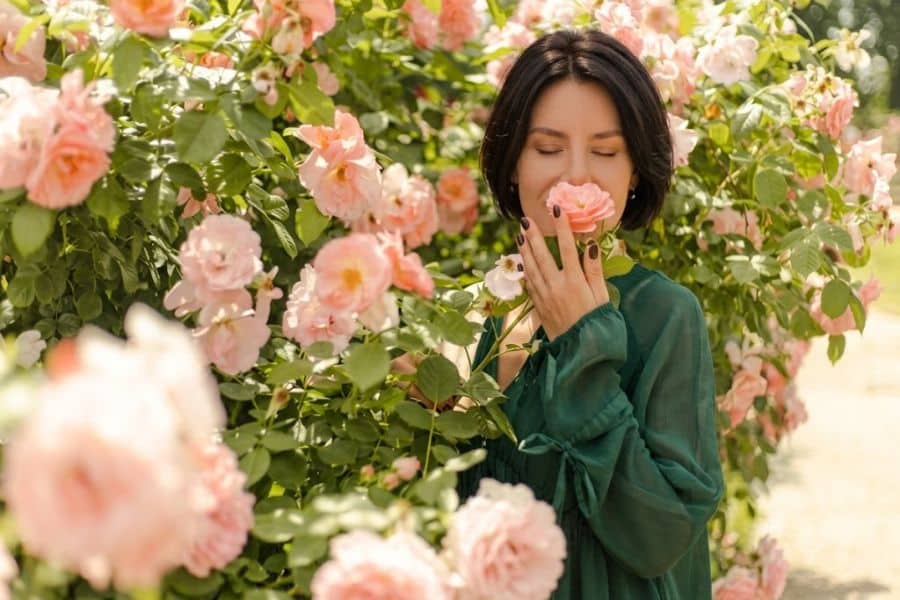 A woman in a flowing green dress closes her eyes while smelling a pale pink rose. Blooming roses surround her and create a soft floral setting.