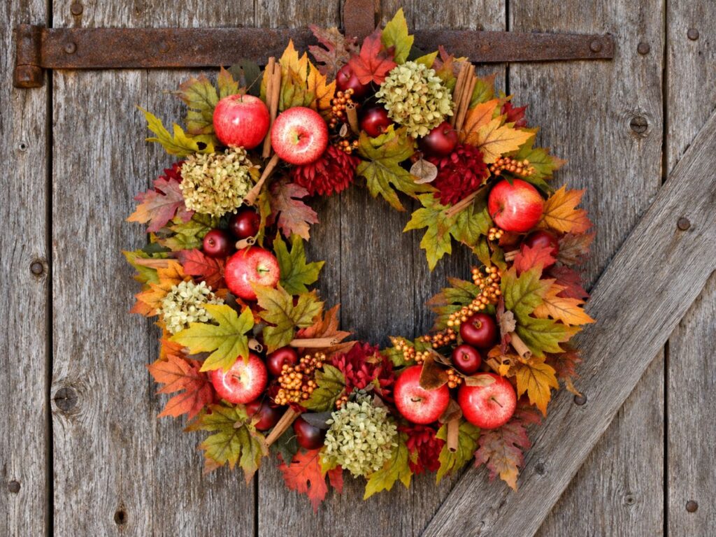 A colorful autumn wreath of red apples. dried hydrangeas. cinnamon sticks. berries. and red. orange. and green leaves hangs on a weathered wooden barn door. The natural arrangement gives this fall wreath a rustic harvest look.