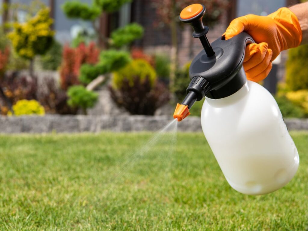 A gloved hand uses a handheld pump sprayer to mist a green lawn in a landscaped garden. The white bottle has a black pump top and orange spray nozzle.