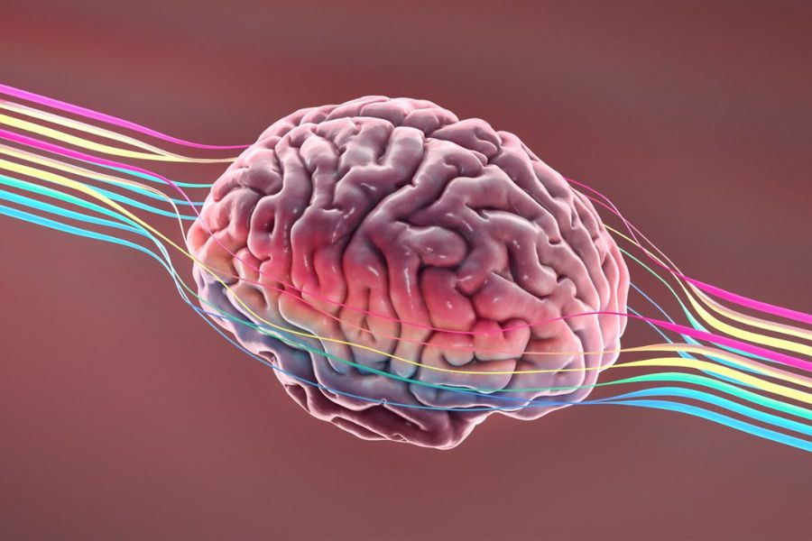 How To Raise Your IQ Over 50 and Avoid Cognitive Decline With These Simple Exercises (It’s What the Geniuses Do)