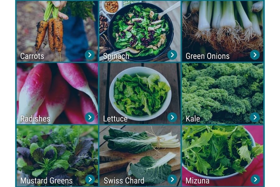 A nine tile garden vegetable guide shows crops commonly associated with cool season gardening. The tiles are labeled "Carrots" "Spinach" "Green Onions" "Radishes" "Lettuce" "Kale" "Mustard Greens" "Swiss Chard" and "Mizuna" and offer visual ideas for fall planting.