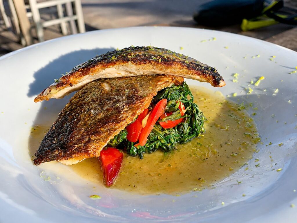 Two pieces of crispy skin fish are served over cooked greens and red peppers. A light herb sauce surrounds the fish on a large white plate.